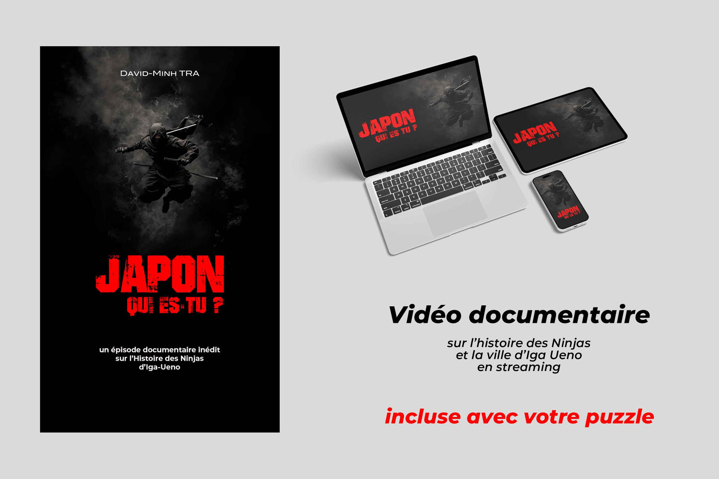 Puzzle Double Face – “Le Château d’Iga Ueno” – Japon