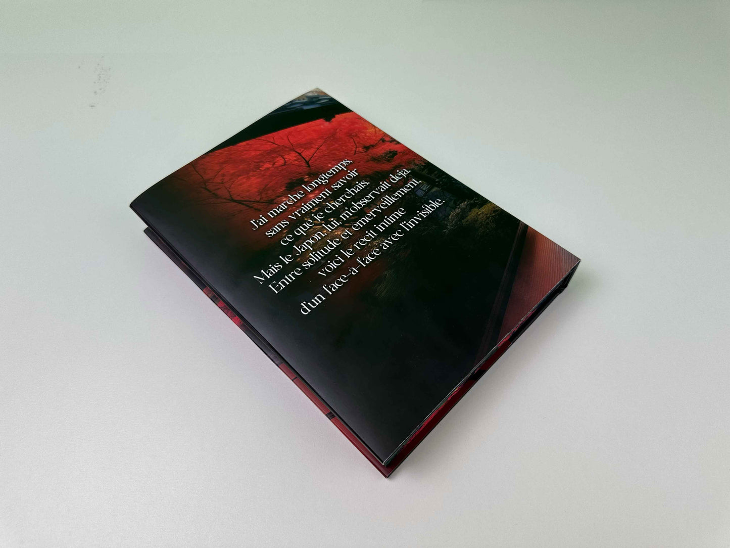 Japon, qui es-tu ? — Le livre qui révèle un Japon invisible