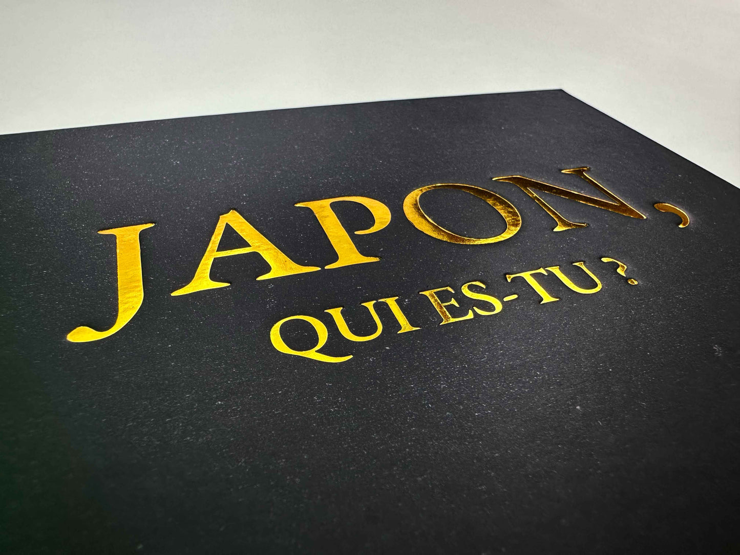 Japon, qui es-tu ? — Le livre qui révèle un Japon invisible