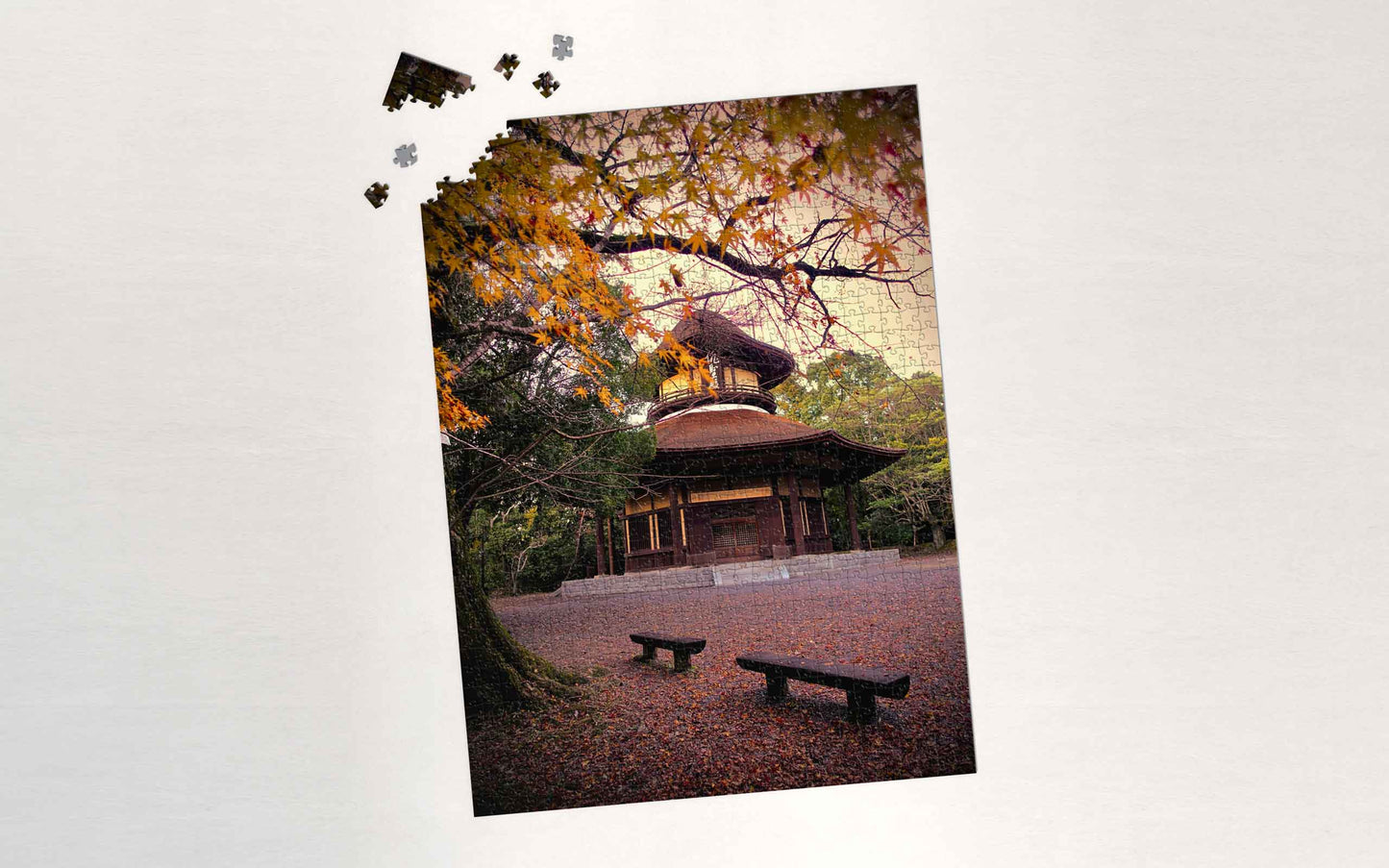 Puzzle Double Face – “Le Château d’Iga Ueno” – Japon